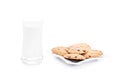 Milk and cookies Royalty Free Stock Photo