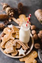 Milk and cookies. Gingerbread cookies on a gray background. Christmas cookies.