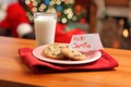 Milk and cookies for Santa Royalty Free Stock Photo