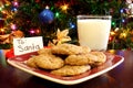 Milk and Cookies for Santa