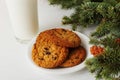 Milk and cookies for Santa Claus under the christmas tree. Concept, copy Space Royalty Free Stock Photo