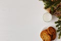 Milk and cookies for Santa Claus under the christmas tree. Concept, copy Space Royalty Free Stock Photo