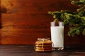 Milk and cookies for Santa Claus under the christmas tree. Concept, copy Space Royalty Free Stock Photo