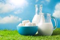 Milk and cottage cheese over meadow and blue sky background Royalty Free Stock Photo