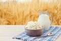 Milk and cottage cheese over wheat field background Royalty Free Stock Photo