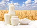 Milk, cottage cheese and sour cream on a background of wheat field