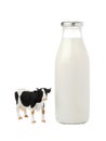 Milk cow