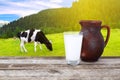 Milk with cow on the background Royalty Free Stock Photo