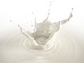 Milk crown splash, splashing in milk pool with ripples Royalty Free Stock Photo