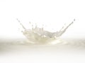 Milk crown splash, splashing in milk pool with ripples Royalty Free Stock Photo