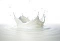 Milk crown splash, splashing in milk pool with ripples. Side view Royalty Free Stock Photo