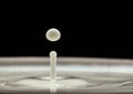 Milk drop splash Royalty Free Stock Photo