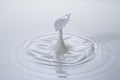 Milk drop splash Royalty Free Stock Photo