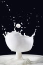 Milk-drop,splash Royalty Free Stock Photo