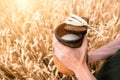 Milk in a earthenware jug and bread, in mans hand, in wheat field. Agricultural background with with drink Royalty Free Stock Photo