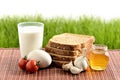 Milk, egg, bread, tomatoes, garlic and honey Royalty Free Stock Photo