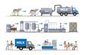 Milk factory set. Royalty Free Stock Photo