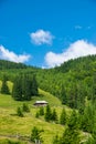 Milk farm in Carpathian Mountains