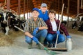 Milk farm workers in cowhouse Royalty Free Stock Photo