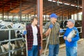Milk farm workers talking in cowhouse Royalty Free Stock Photo