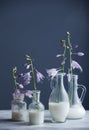 Milk in glass bottles and blue flowers against dark background Royalty Free Stock Photo