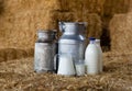 Milk in glass carafe, bottles and cans on hay Royalty Free Stock Photo