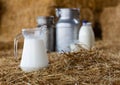 Milk in glass carafe, bottles and cans on hay Royalty Free Stock Photo