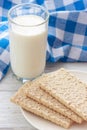 Milk glass with oatmeal breads healthy nutrition Royalty Free Stock Photo