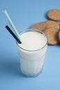 Milk in Glass Straw Isolated with Biscuits Cookies Blue Background Dairy Products Lactose