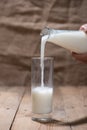 Milk. Image of Milk fall into glass. Royalty Free Stock Photo