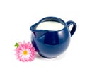 Milk jug Royalty Free Stock Photo