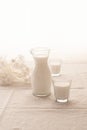 Milk in a jug and glasses on a white background. Tablecloth. Flowers . copy space Royalty Free Stock Photo