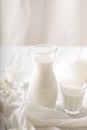 Milk in a jug and glasses on a white background. Tablecloth. Flowers . copy space Royalty Free Stock Photo