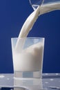 Milk from jug poured into a glass. Milk overflows on the table Royalty Free Stock Photo