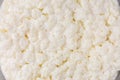 Milk kefir grains Royalty Free Stock Photo