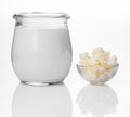 Milk kefir grains. milk kefir, or bÃÂºlgaros, is a fermented milk drink that originated in the Caucasus Mountains made with kefir Royalty Free Stock Photo