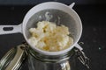 Organic Probiotic Milk kefir grains