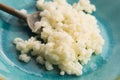 Milk kefir grains Royalty Free Stock Photo