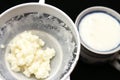 Milk kefir grains, tibetian mushroom sponge witk kitchen sieve and cup of fermented milk Royalty Free Stock Photo