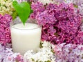 Milk and lilac Royalty Free Stock Photo