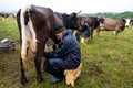 Milk man on the country side ,Hand Milking Techniques for Cows