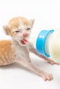 Milk is not delicious Royalty Free Stock Photo