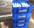 Milk packets kept in blue crates stacked.