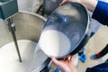 Milk is poured into a container for making ricotta cheese, mozzarella. Selected Focus Royalty Free Stock Photo