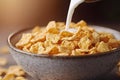 Corn Flakes with Milk Royalty Free Stock Photo