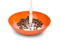 Milk pouring into the bowl with chocolate cereal balls on white background Royalty Free Stock Photo