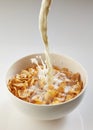 Milk pouring into bowl with corn flakes Royalty Free Stock Photo