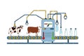 Milk production conveyor. Dairy products industrial manufacturing, natural processed milk from cow to bottle cartoon