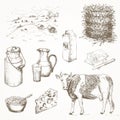 Milk products and cow