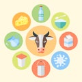 Milk products, dairy products vector flat design Royalty Free Stock Photo